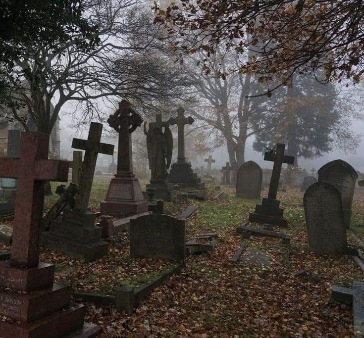 an old cemetery with many headstones and trees in the background on a foggy day