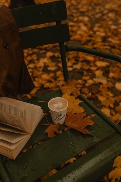 a cup of coffee and an open book on a green chair in the fall leaves