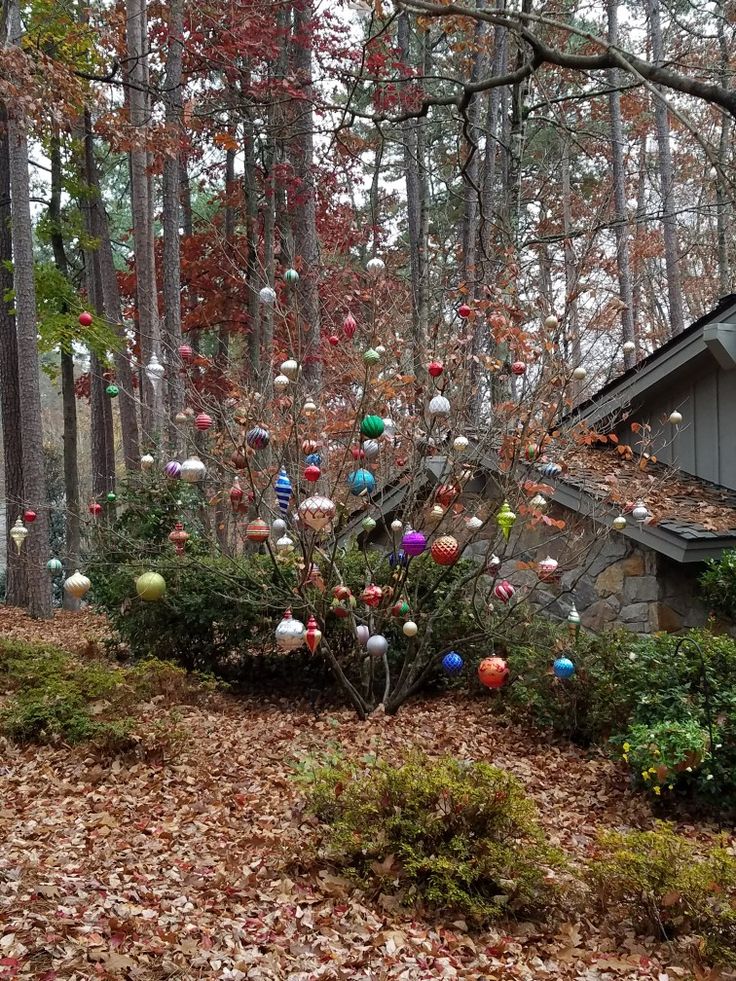 a house in the woods with lots of colorful eggs on it's tree branch