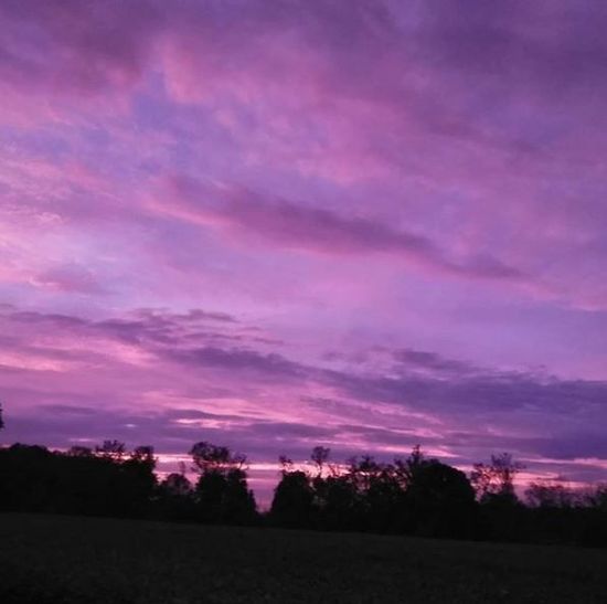 the sky is purple and there are trees in the distance