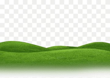 green grass on a white background with space for text, hd png and psd