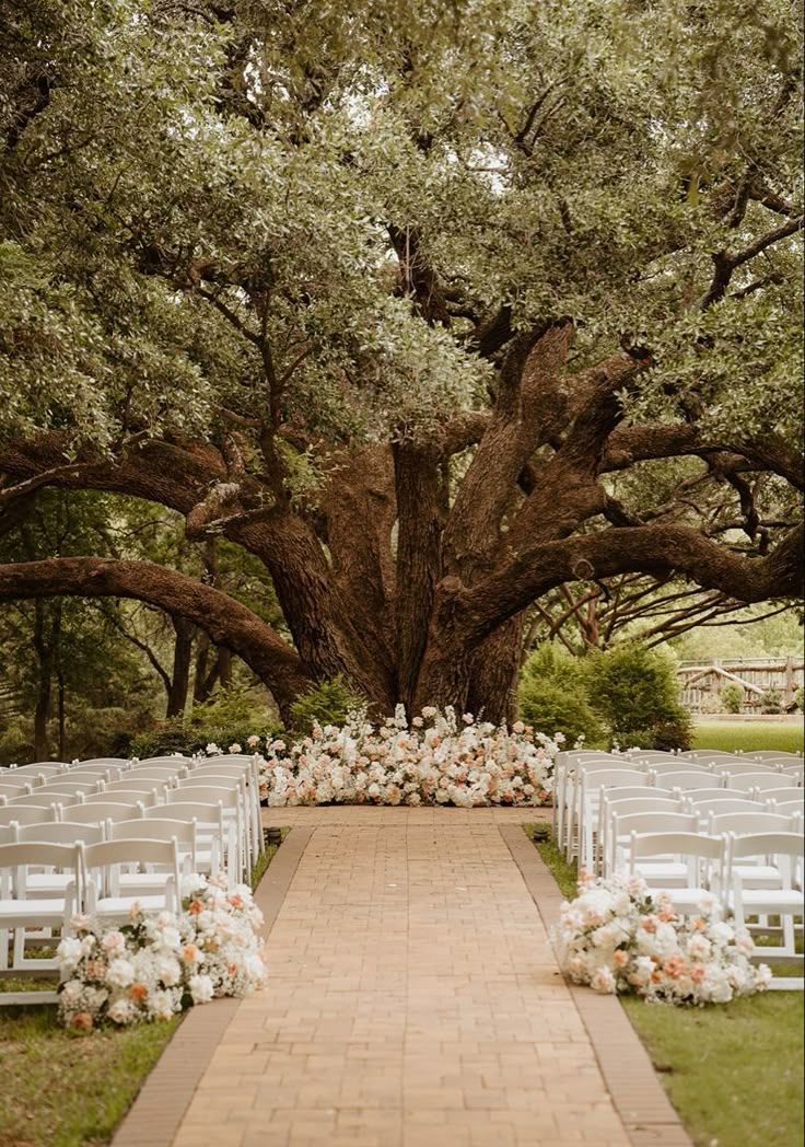 an outdoor ceremony setup with white chairs and flowers on the aisle under a large tree