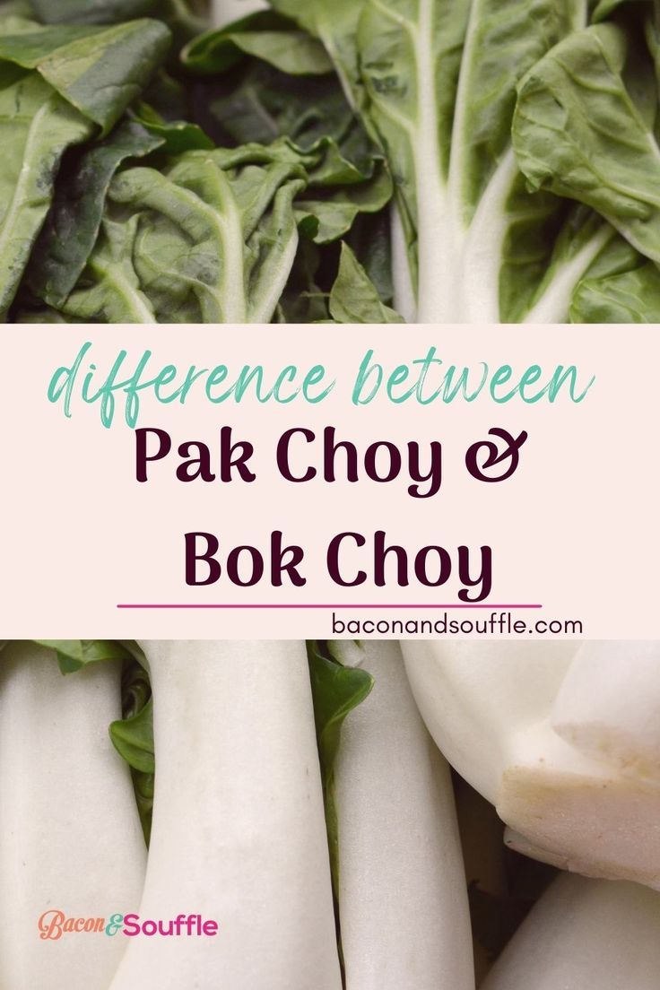 What's The Difference? Pak Choy vs Bok Choy Pak Choy Recipe, Pok Choi, Pak Choy, Chinese Cabbage, Lettuce, Bacon, Canning