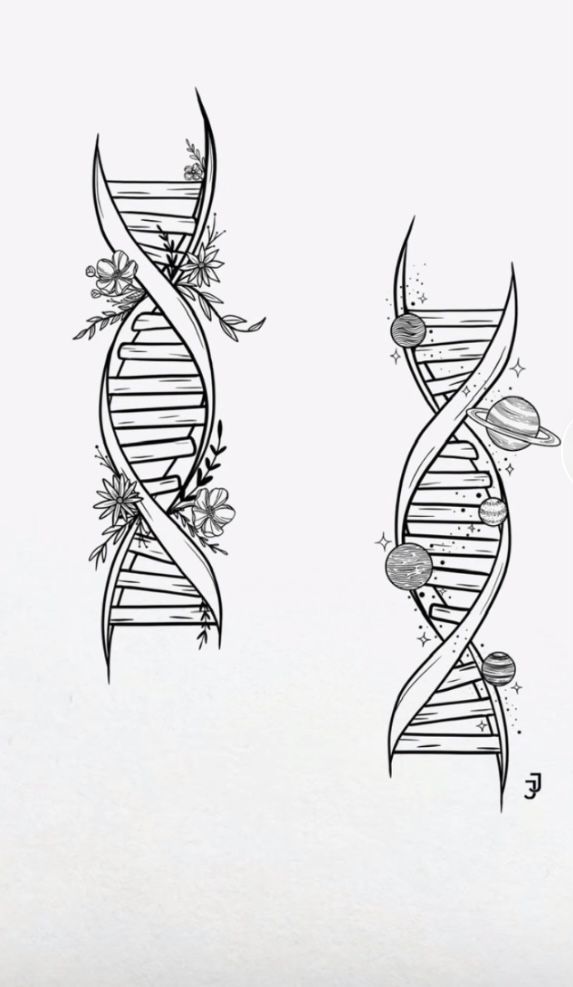 two drawings of the structure of a double - stranded, spirally shaped object