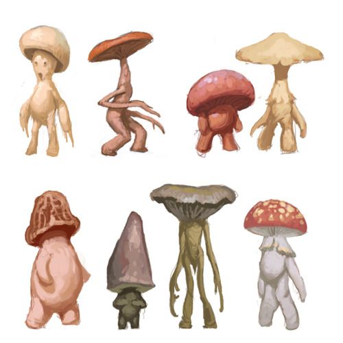 several different types of mushrooms are shown in this drawing, and each mushroom has its own individual body