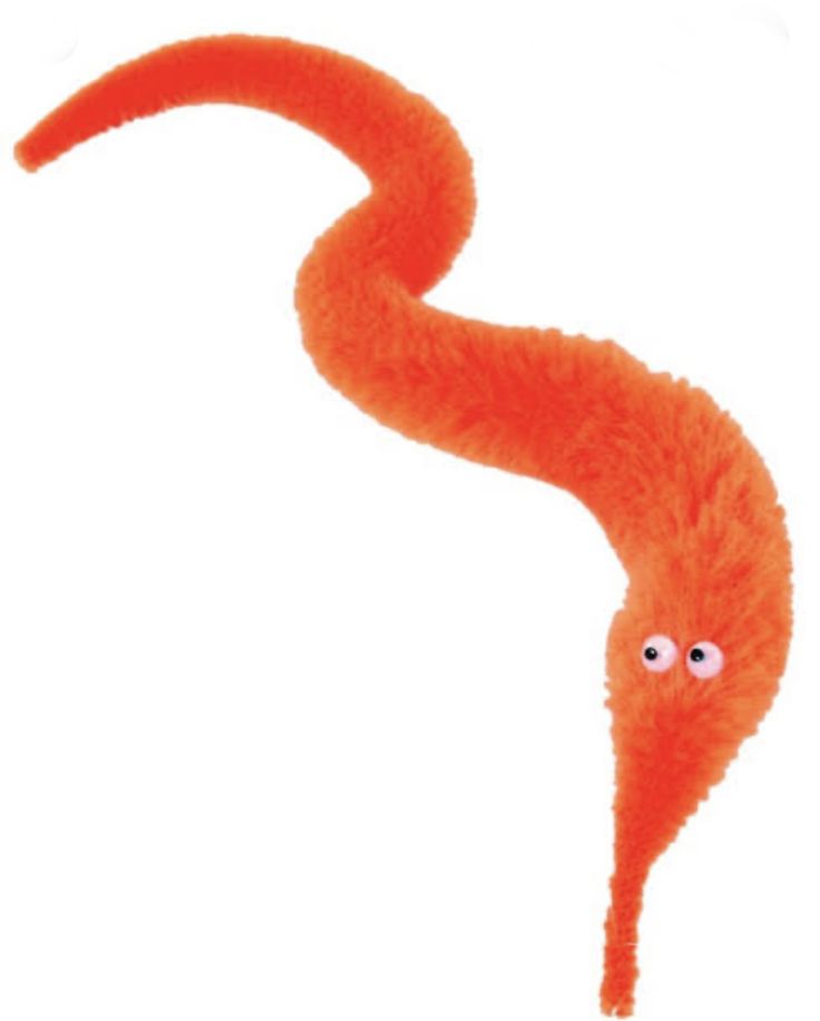 an orange worm toy with eyes on it's head and tail, standing upright in front of a white background