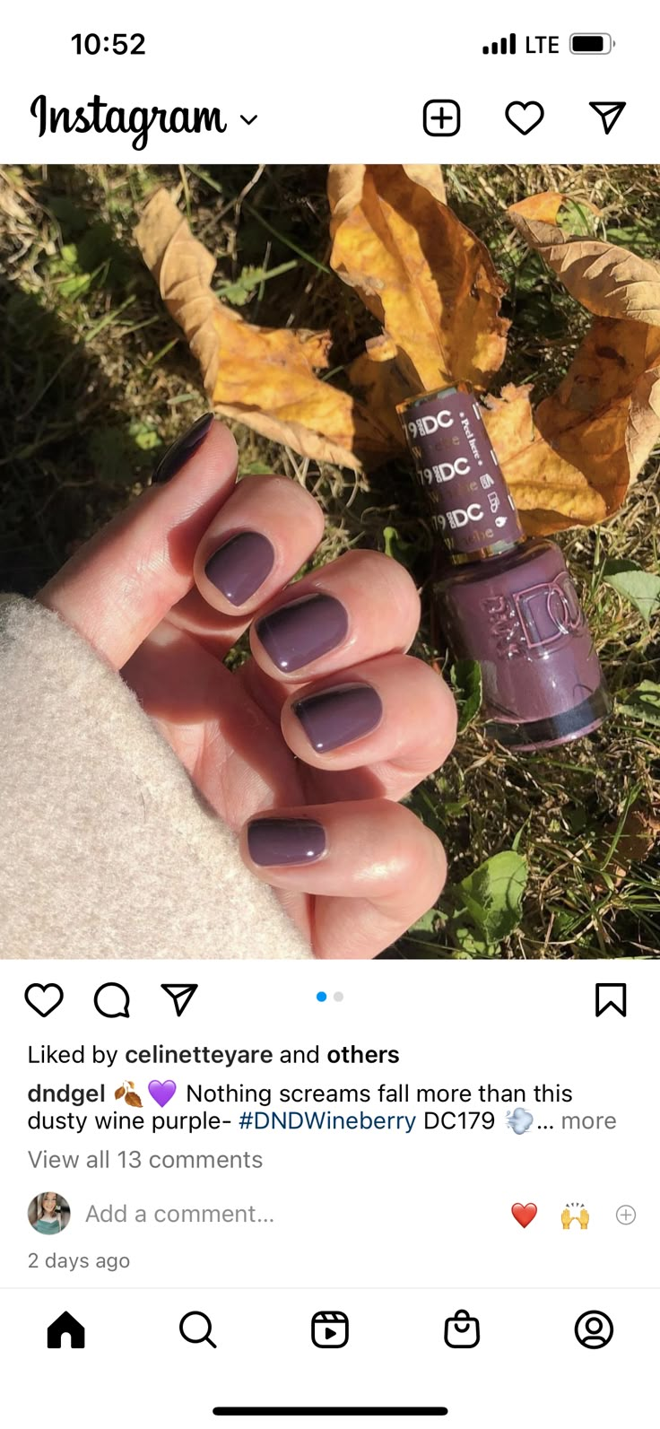 Dnd Fall Nails, Dnd Gel Nail Polish, Gel Nail Polish Colors, Dnd Gel Polish, Nails Only, Nail Envy, Get Nails, Hair Skin Nails, Fall Nail Colors