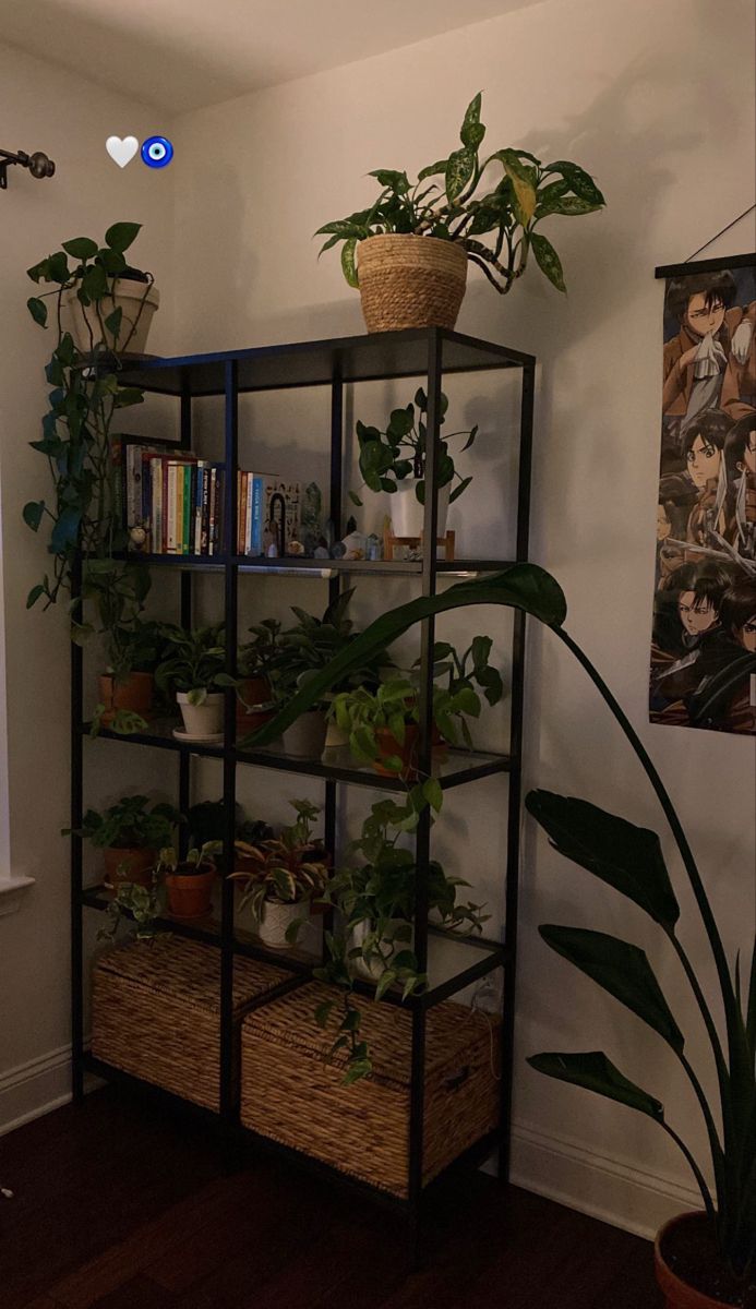 a shelf filled with lots of plants next to a wall mounted planter on top of a wooden floor