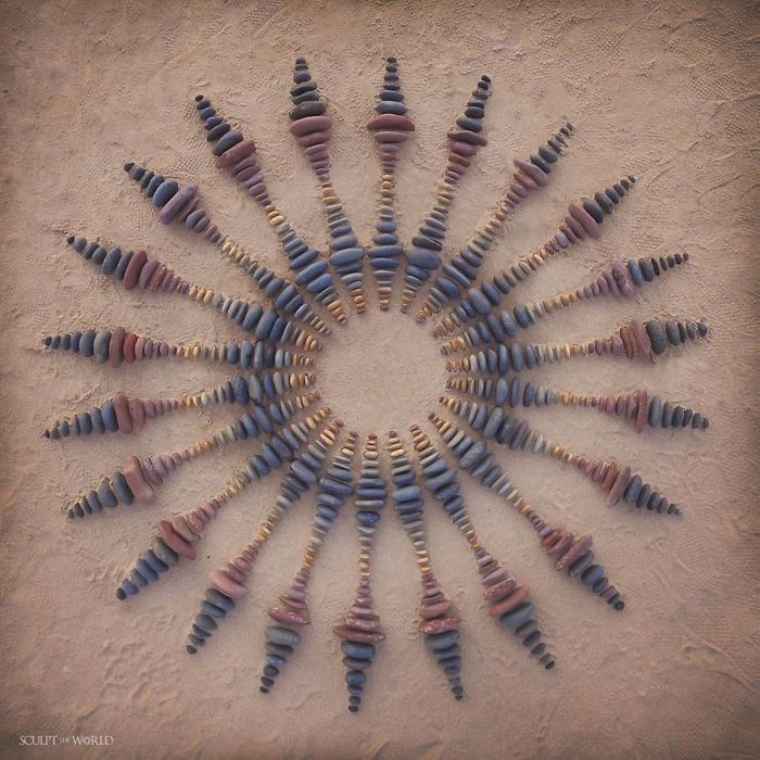 a group of shells arranged in the shape of a sunburst on a sandy beach