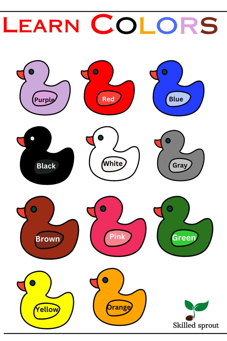 an image of different colored rubber ducks for children to learn colors and write the words