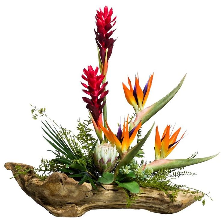 an arrangement of tropical flowers and greenery on a piece of driftwood in front of a white background