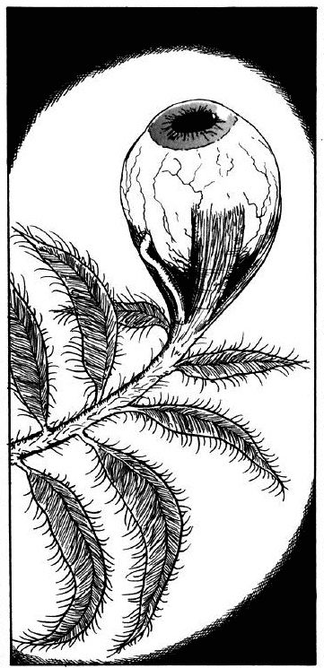 a black and white drawing of a pine cone on a tree branch with the moon in the background