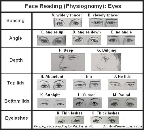 Eyes Chinese Face Reading, Reading Body Language, Blue Eye Color, Bulging Eyes, Face Mapping, Face Reading, How To Read People, Thick Lashes, Palm Reading