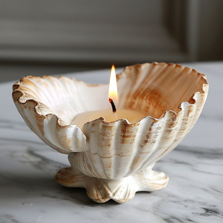 a candle that is inside of a shell