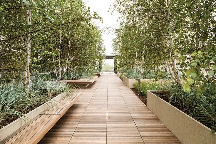 a wooden walkway surrounded by lots of trees and plants with benches on each side in the middle