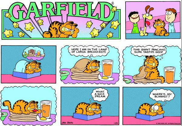 garfield comics are being used to describe what is going on in the house and how it's done