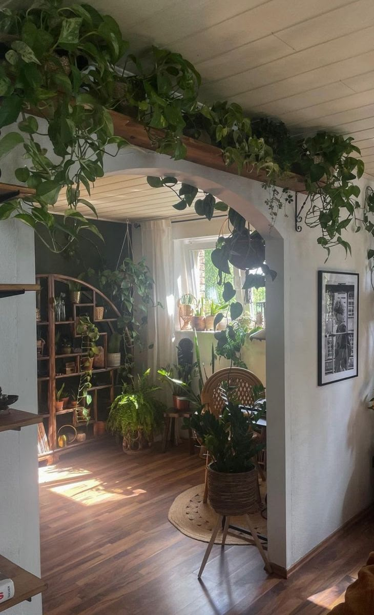 a living room filled with lots of green plants