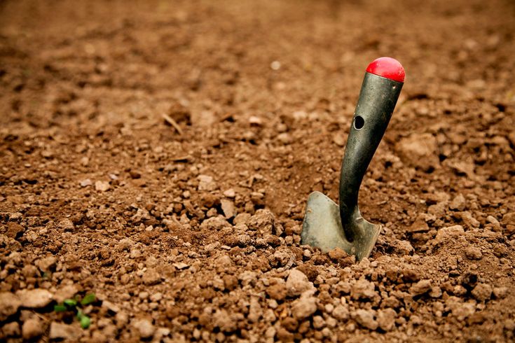 a shovel stuck in the ground with dirt