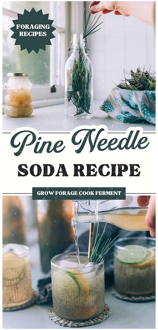 pine needle soda recipe on a counter top