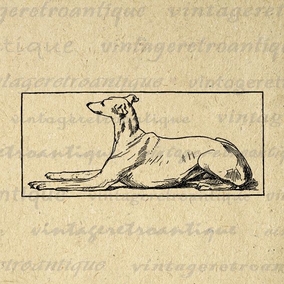 a drawing of a dog laying down on the ground with his head turned to the side