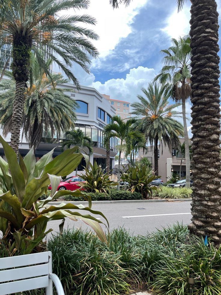 a white bench sitting on the side of a road next to palm trees and buildings