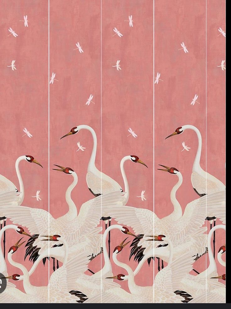 four white birds are standing in front of a pink wall with cranes flying around them