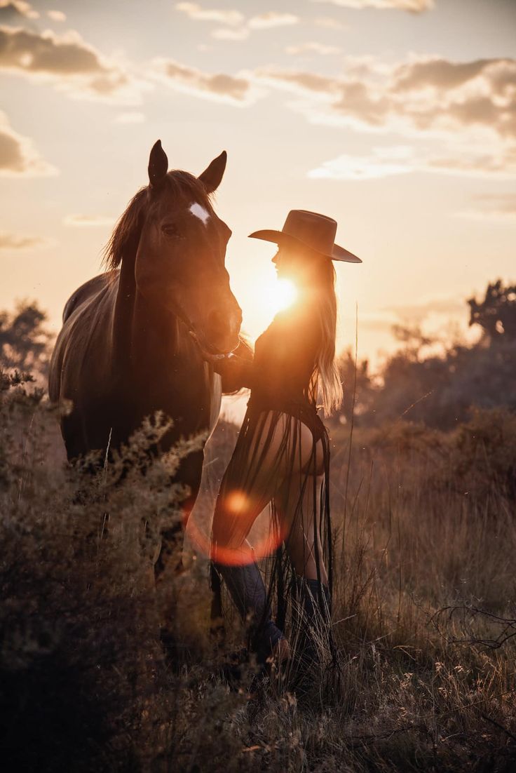 two horses standing next to each other in a field with the sun setting behind them