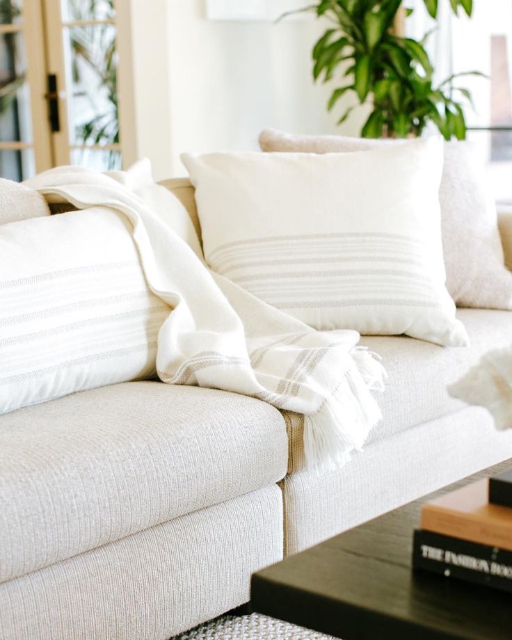 a living room with a couch, coffee table and potted plant