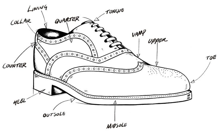 Anatomy of a Shoe | Oliver Sweeney Shoe Anatomy, Fashion Terminology, Drawing Shoes, Make Tattoo, Shoes Drawing, Shoe Repair, Yellow Submarine, Buy Shoes Online, All About Shoes