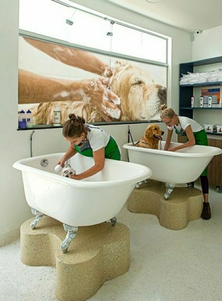 two women are washing their dogs in the bathtubs at the dog grooming shop