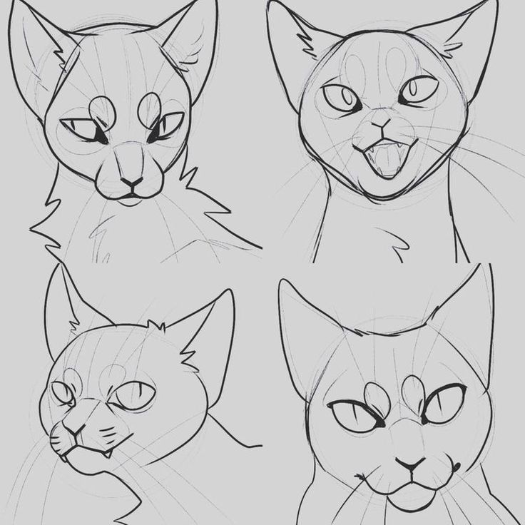 four different types of cats with their mouths open and eyes closed, one is drawn in pencil