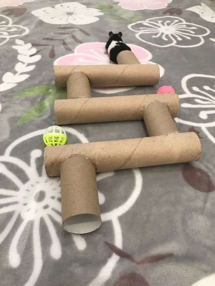 three rolls of toilet paper are laying on the floor next to a cat toy and ball