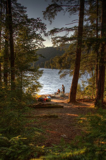 two people sitting on a boat in the woods