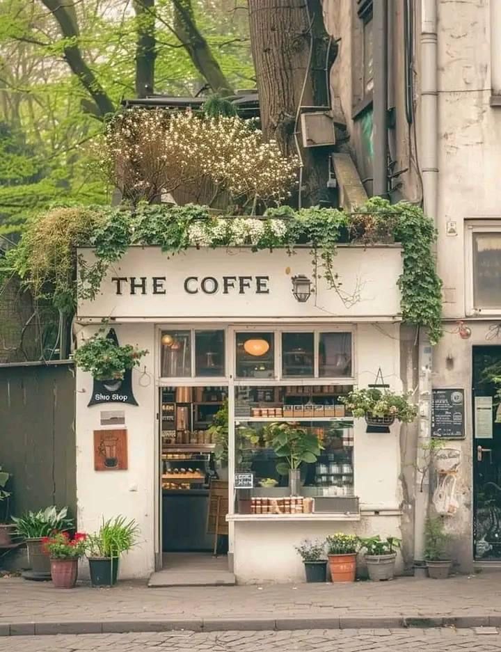 the coffee shop has plants growing out of it's windows and doors, along with potted plants