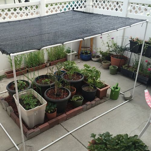 several potted plants are sitting under an awning on the patio, next to other pots