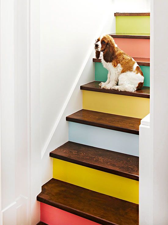 a dog is sitting on top of some stairs