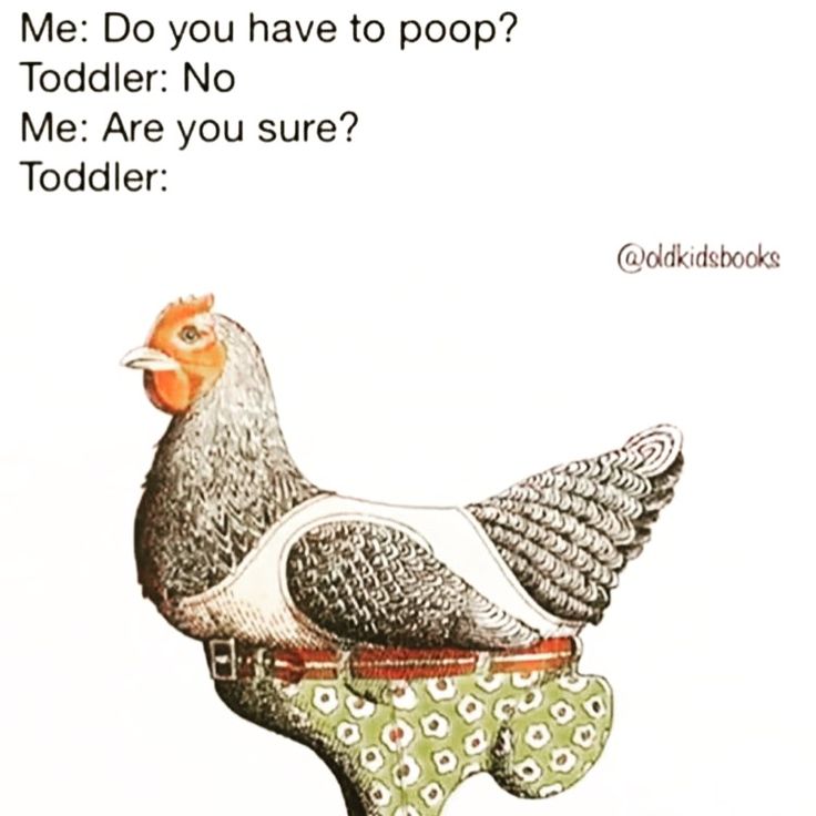 an illustration of a chicken on top of a pot with the words me do you have to poop? todder no me are you sure? todder