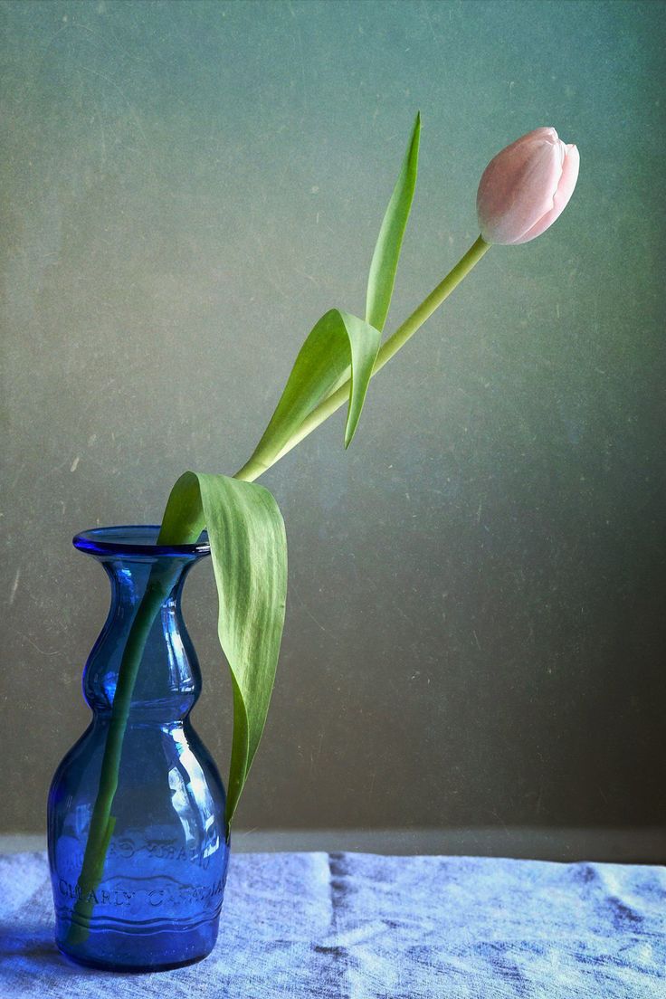 a single tulip in a blue vase on a table