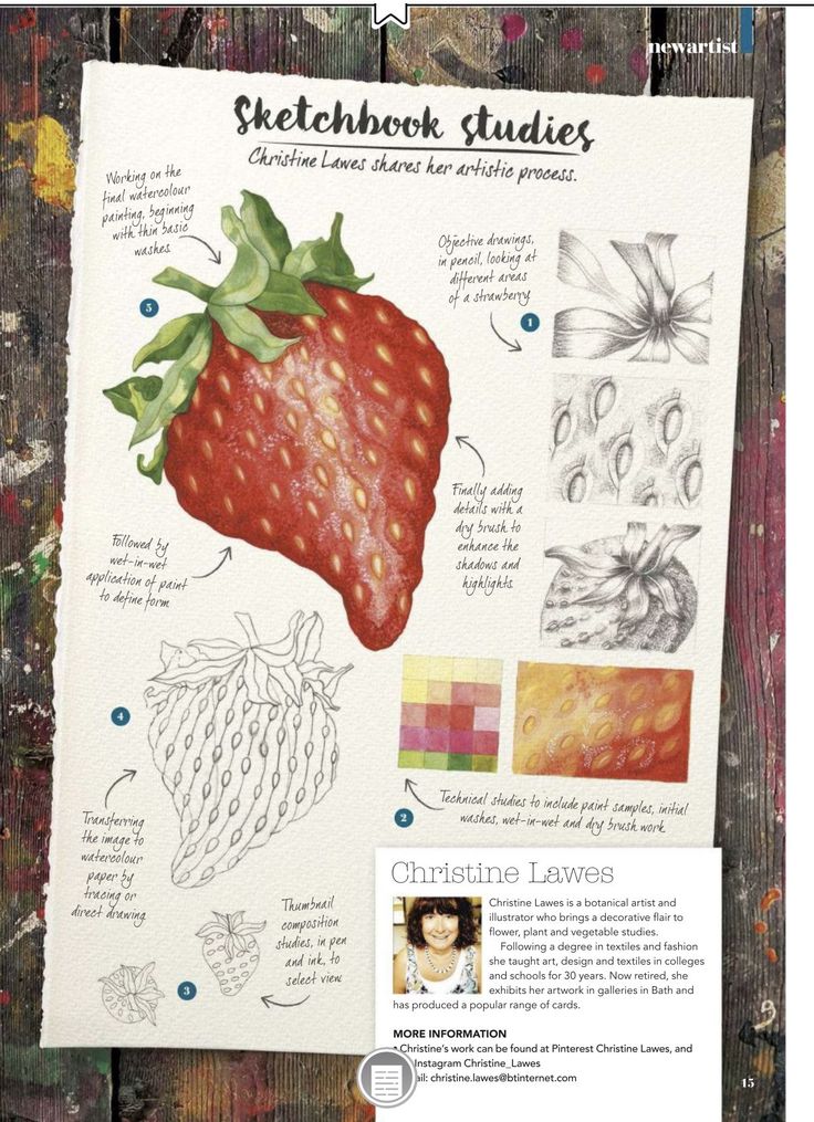 a poster with pictures of different types of strawberries and other things to draw on it