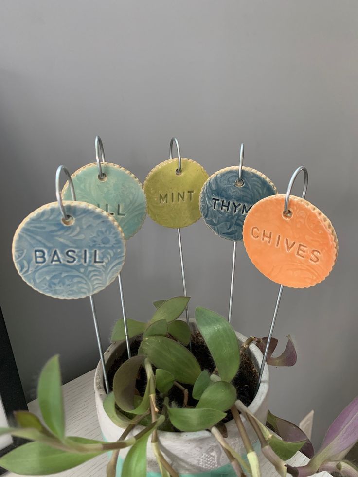 a potted plant sitting on top of a table with four different colored tags attached to it