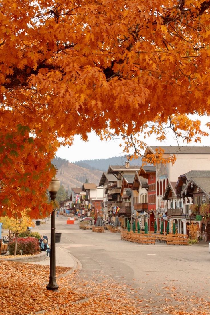 an autumn scene with lots of leaves on the ground and buildings in the background,