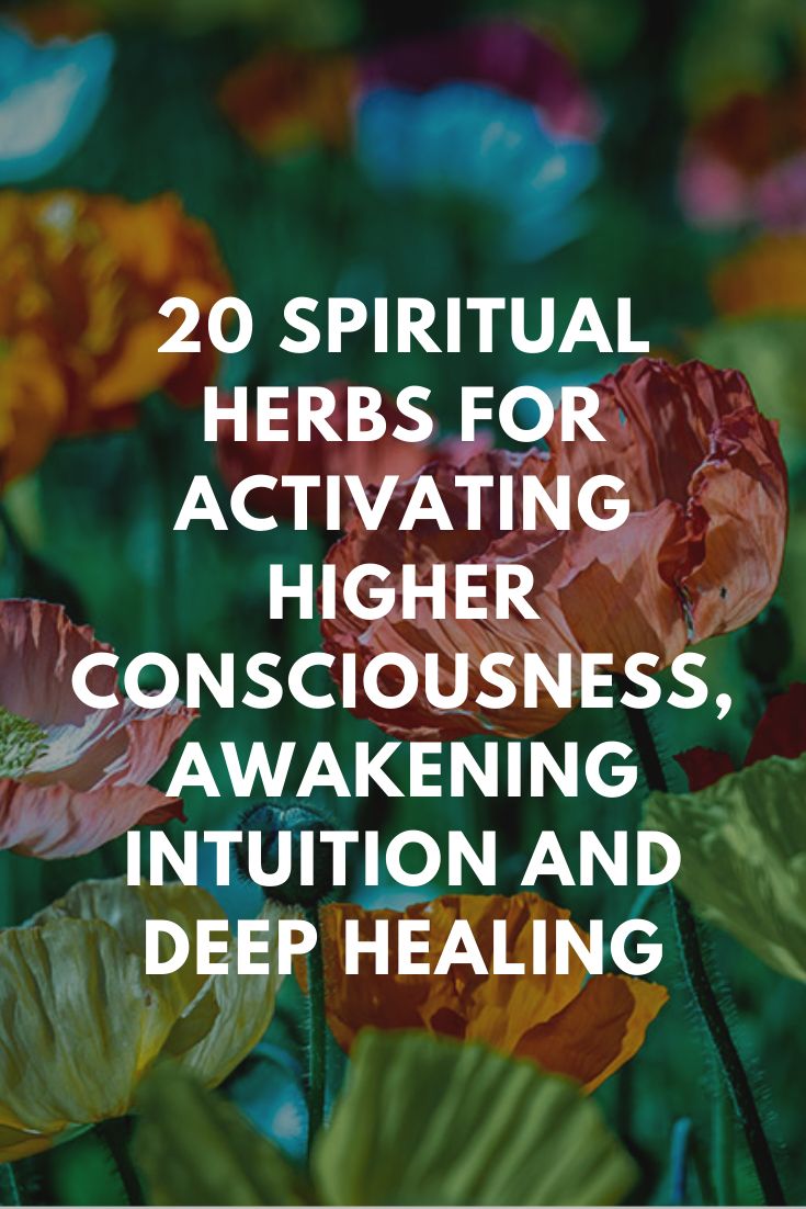 Spiritual Herbs: These powerful spiritual herbs and plants have been used for millennia to activate higher awareness, intuitive abilities and deep healing on every level. #herbs #spirituality #HolisticHealth #ConsiousLifestyleMag Spiritual Herbs, Herbs And Plants, Magickal Herbs, Medicinal Herbs Garden, Magia Das Ervas, Deep Healing, Magic Herbs, Magical Herbs, Herbal Apothecary