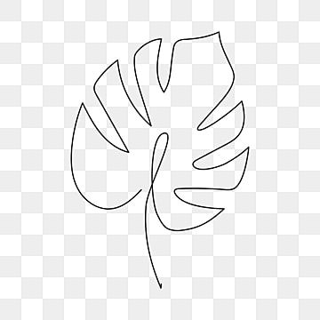 a black and white line drawing of a leaf on a transparent background, with the outline of