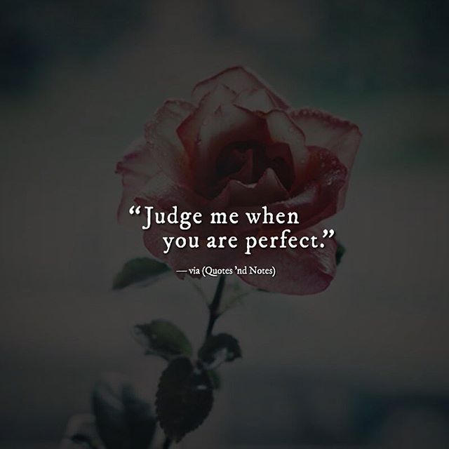 a rose with the quote judge me when you are perfect