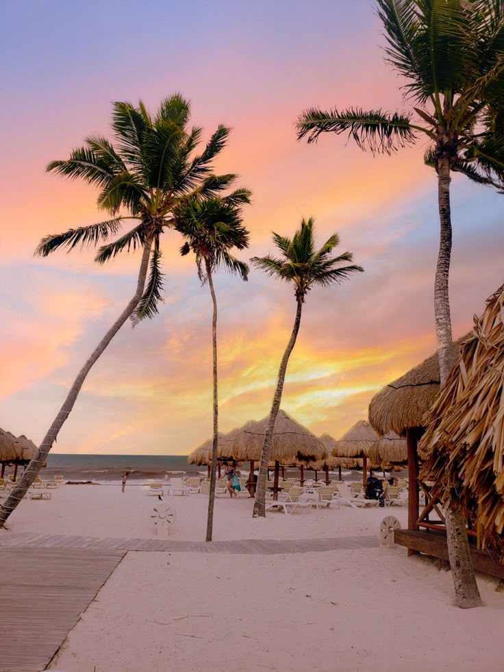 palm trees and thatched umbrellas line the beach at sunset