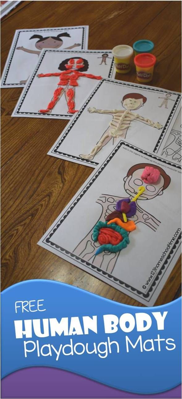 the human body playdough mats are shown on a wooden table with text overlay