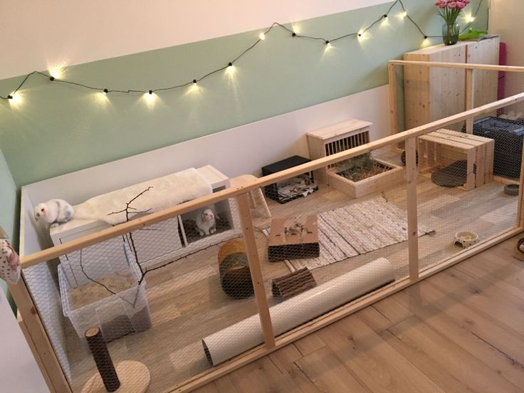 a room with wooden floors and lights on the wall