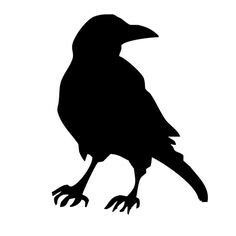 a black crow silhouette on a white background