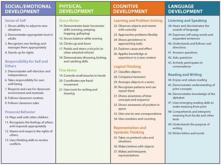 three different types of social development and the four levels of their roles are shown in this diagram