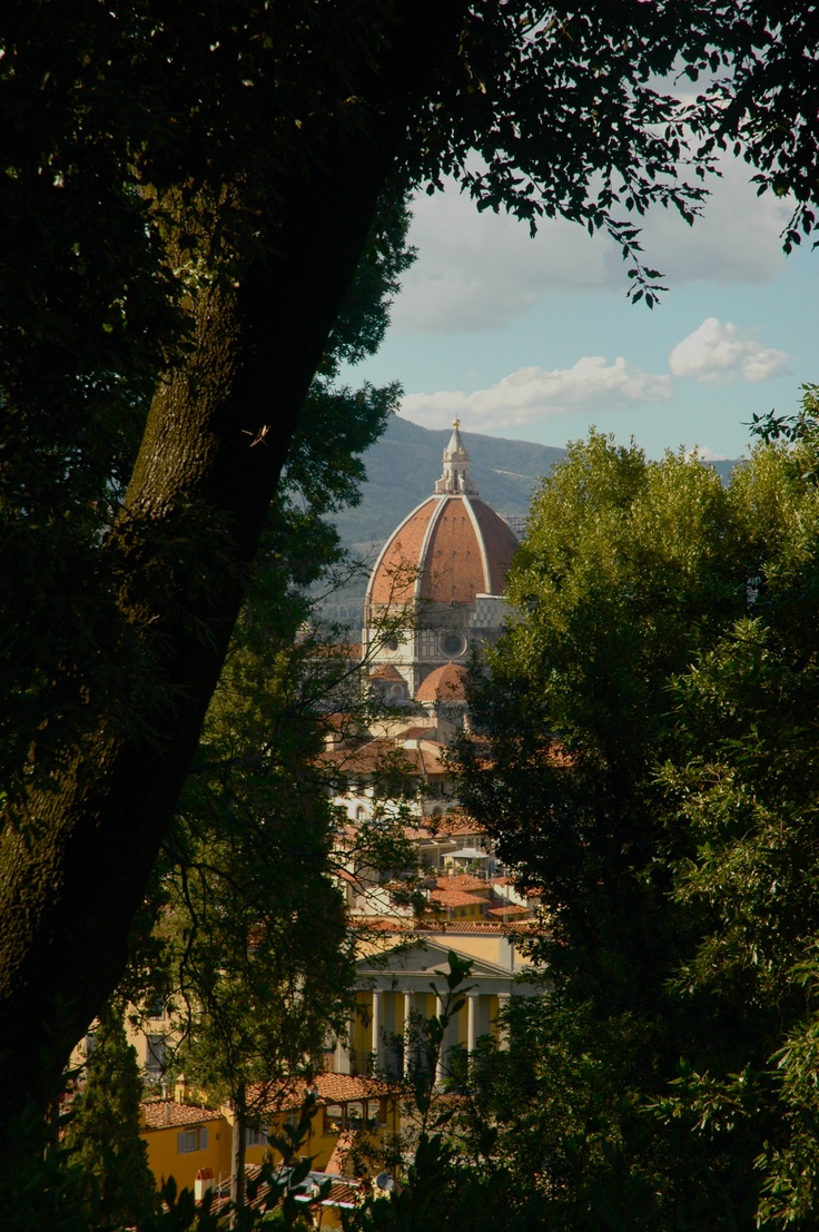 the dome of an old building is seen through some trees in front of a mountain